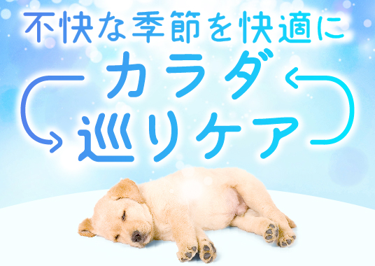 カラダ巡りケア