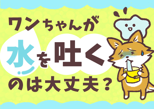 ワンチャンが水を吐くのは大丈夫？