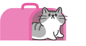 キャリーバッグに入る猫