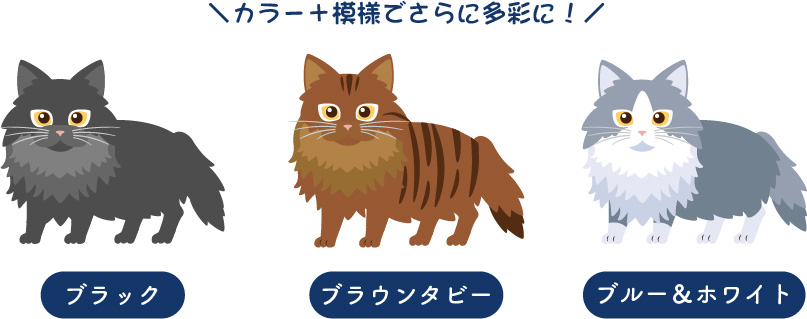 ノルウェージャン・フォレスト・キャットの被毛